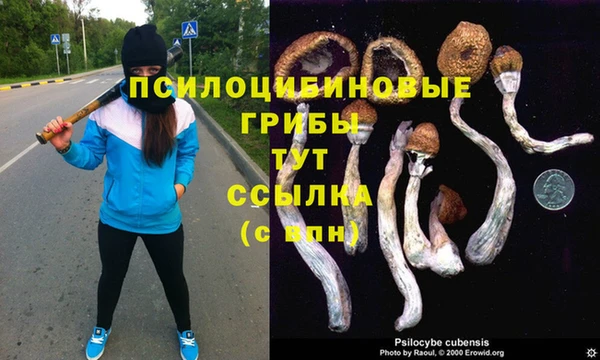 гидропоника Алзамай