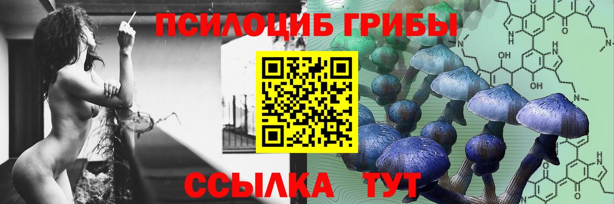 Галлюциногенные грибы Cubensis Сыктывкар